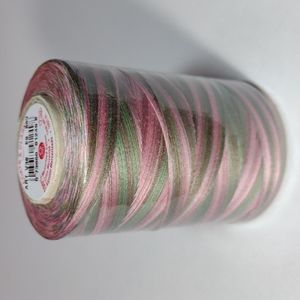 2/$25 Coats & Clark Painted Desert V38-883 1200yd